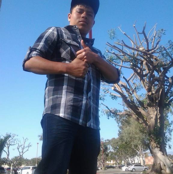 Meet your Posher, Sebastian - Picture 1 of 1